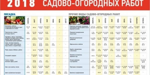 Kako posaditi paradajz za sadnice prema lunarnom kalendaru 2018